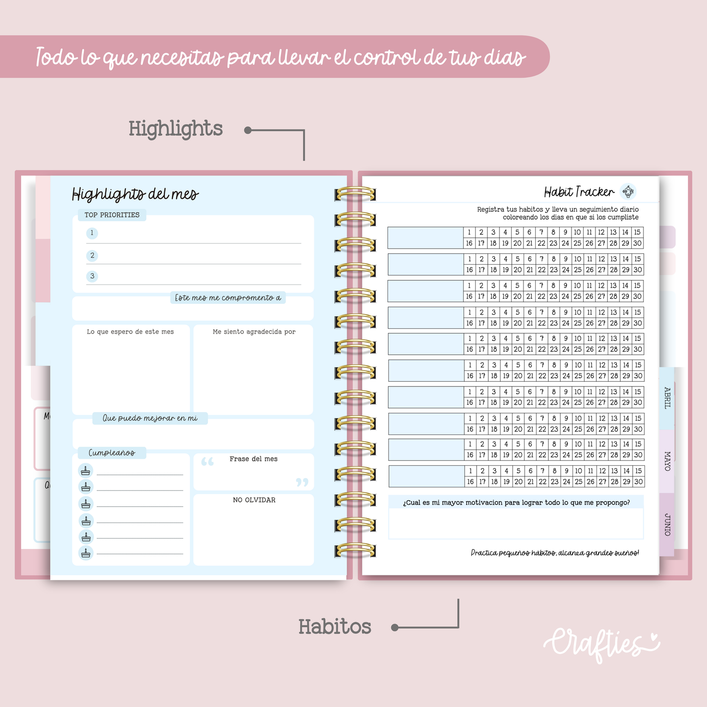 AGENDA YEAR - Vista Diaria