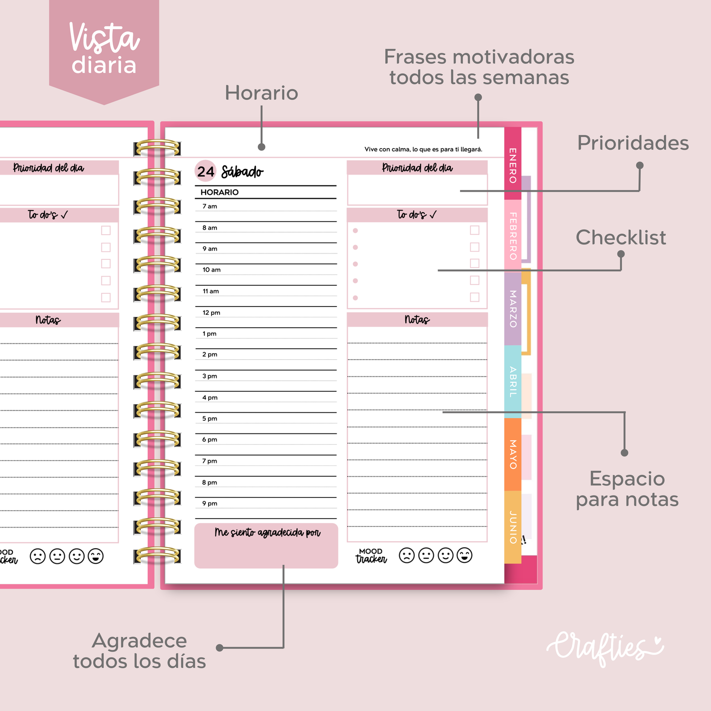 AGENDA COLORS - Vista Diaria