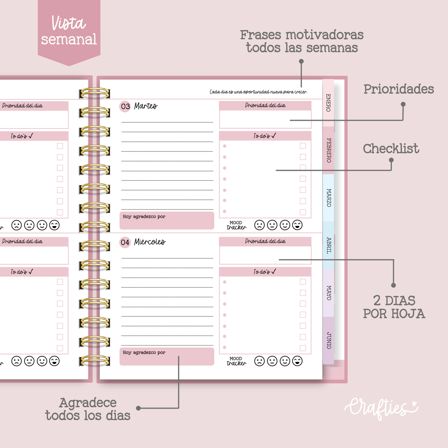 AGENDA COTTON CANDY - Vista Semanal