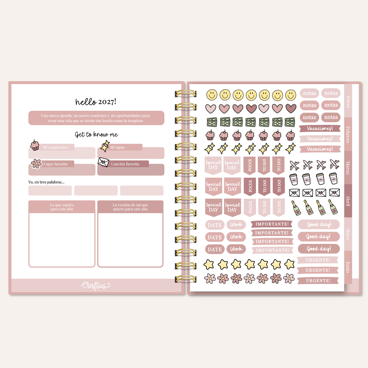 GRADIENT | PINK BLUSH