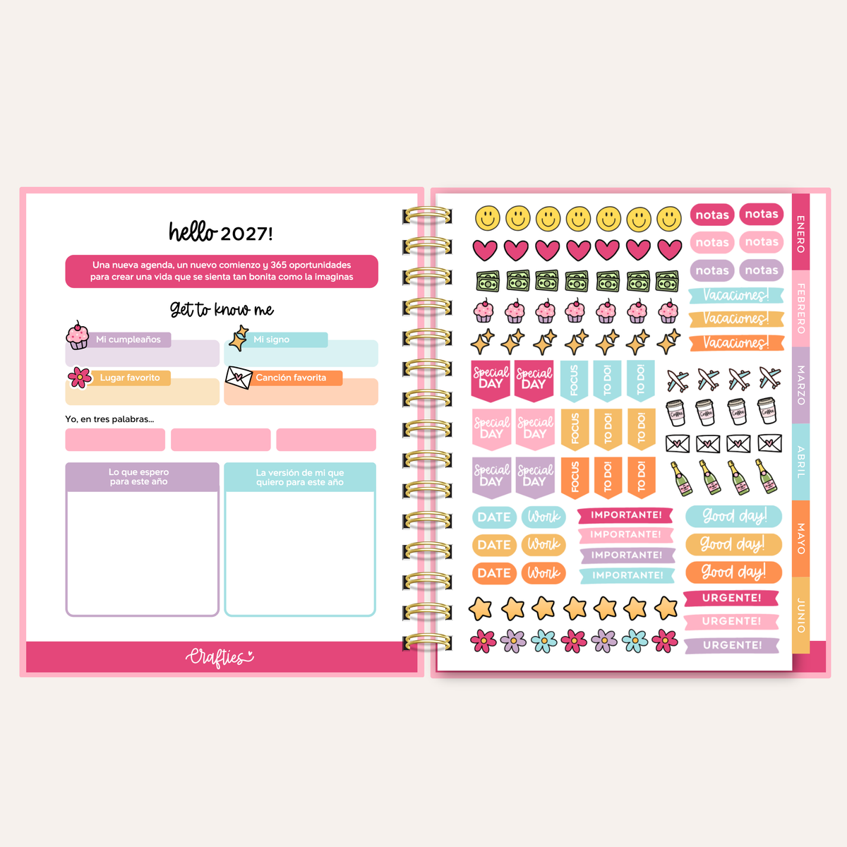 DOTS | COLOR POP