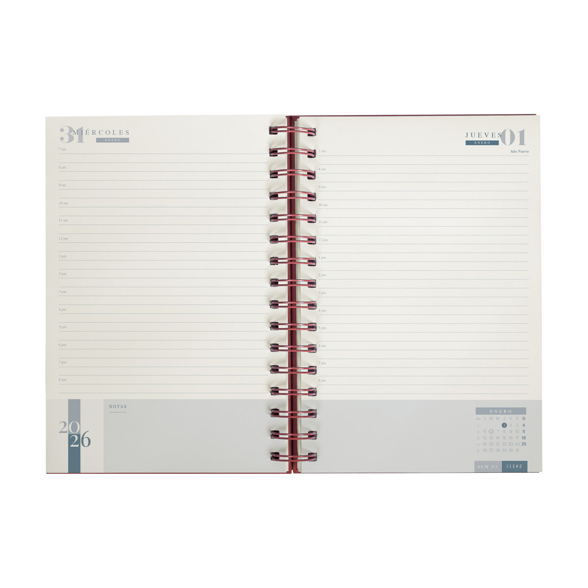 AGENDA CURPIEL - Vista Diaria