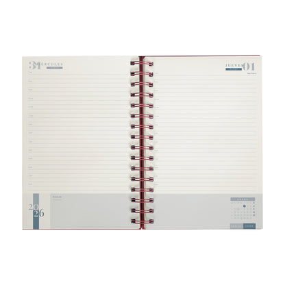 AGENDA CURPIEL - Vista Diaria